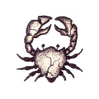 Sternzeichen Krebs